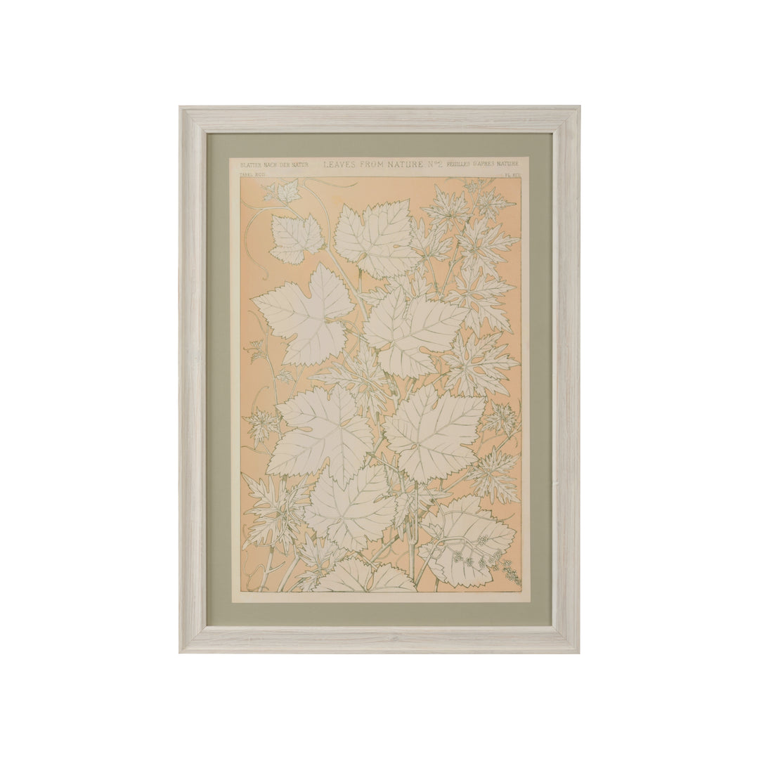 Leaves From Nature No.2 - 387242
