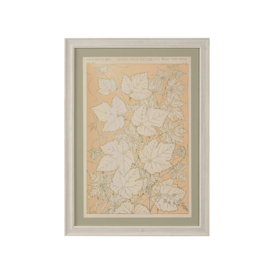 Leaves From Nature No.2 - 387242