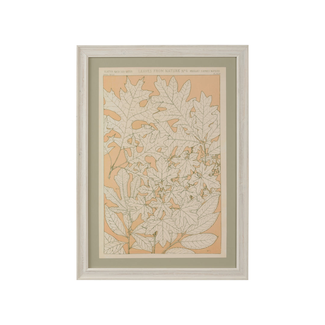Leaves From Nature No.4 - 387243