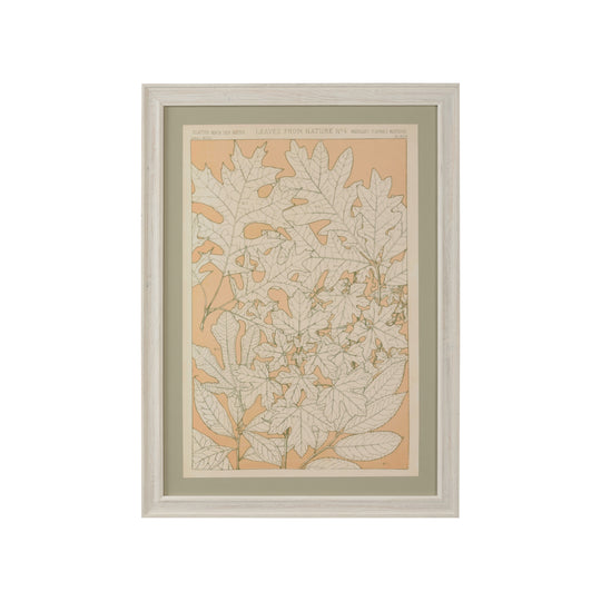 Leaves From Nature No.4 - 387243