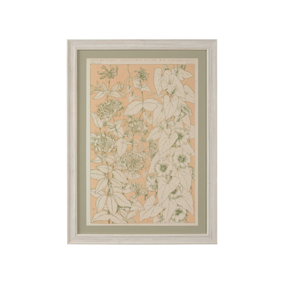 Leaves From Nature No.9 - 387244