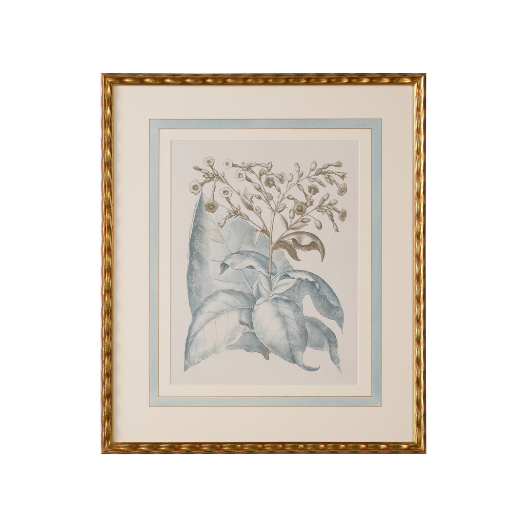 Besler Botanicals in Willow Blue I - 387262