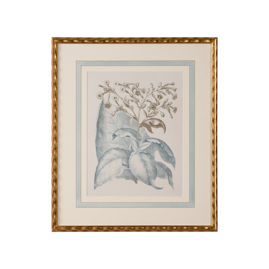 Besler Botanicals in Willow Blue I - 387262
