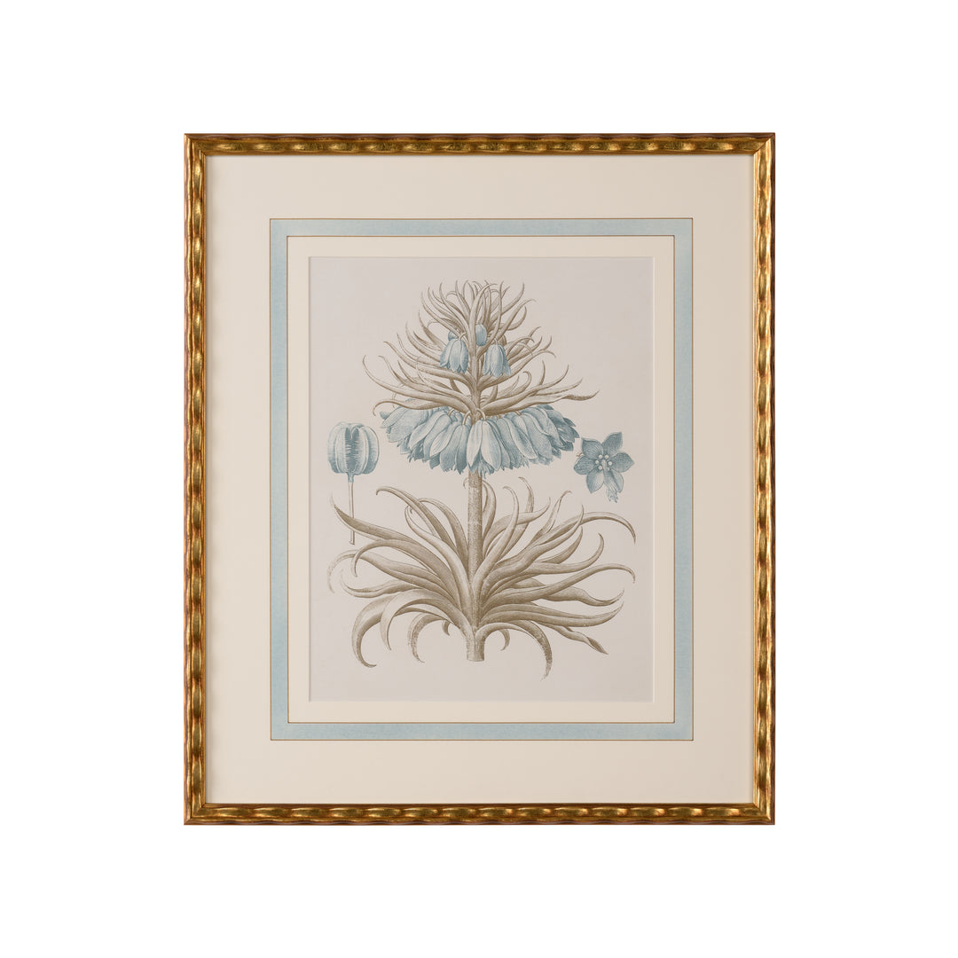 Besler Botanicals in Willow Blue II - 387263