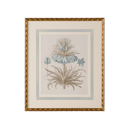 Besler Botanicals in Willow Blue II - 387263