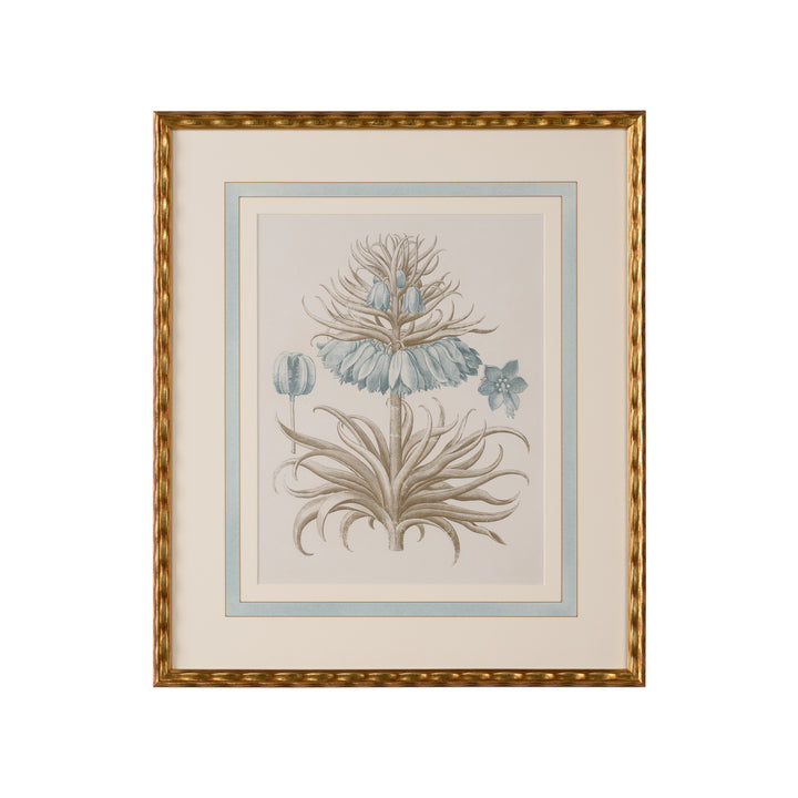 Besler Botanicals in Willow Blue II - 387263