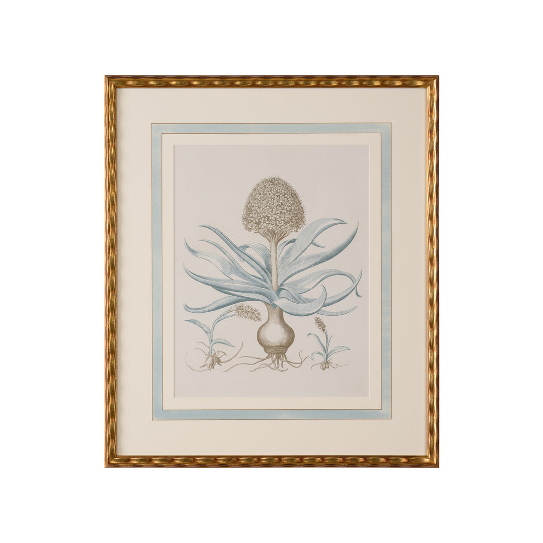 Besler Botanicals in Willow Blue IV - 387265