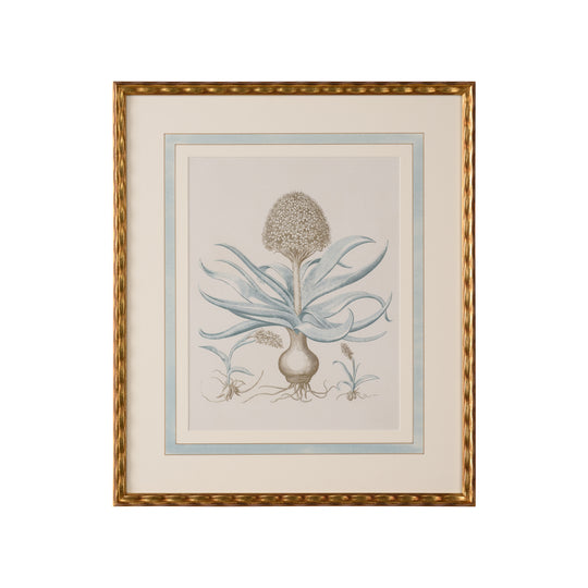 Besler Botanicals in Willow Blue IV - 387265