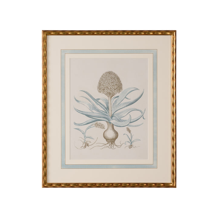 Besler Botanicals in Willow Blue IV - 387265