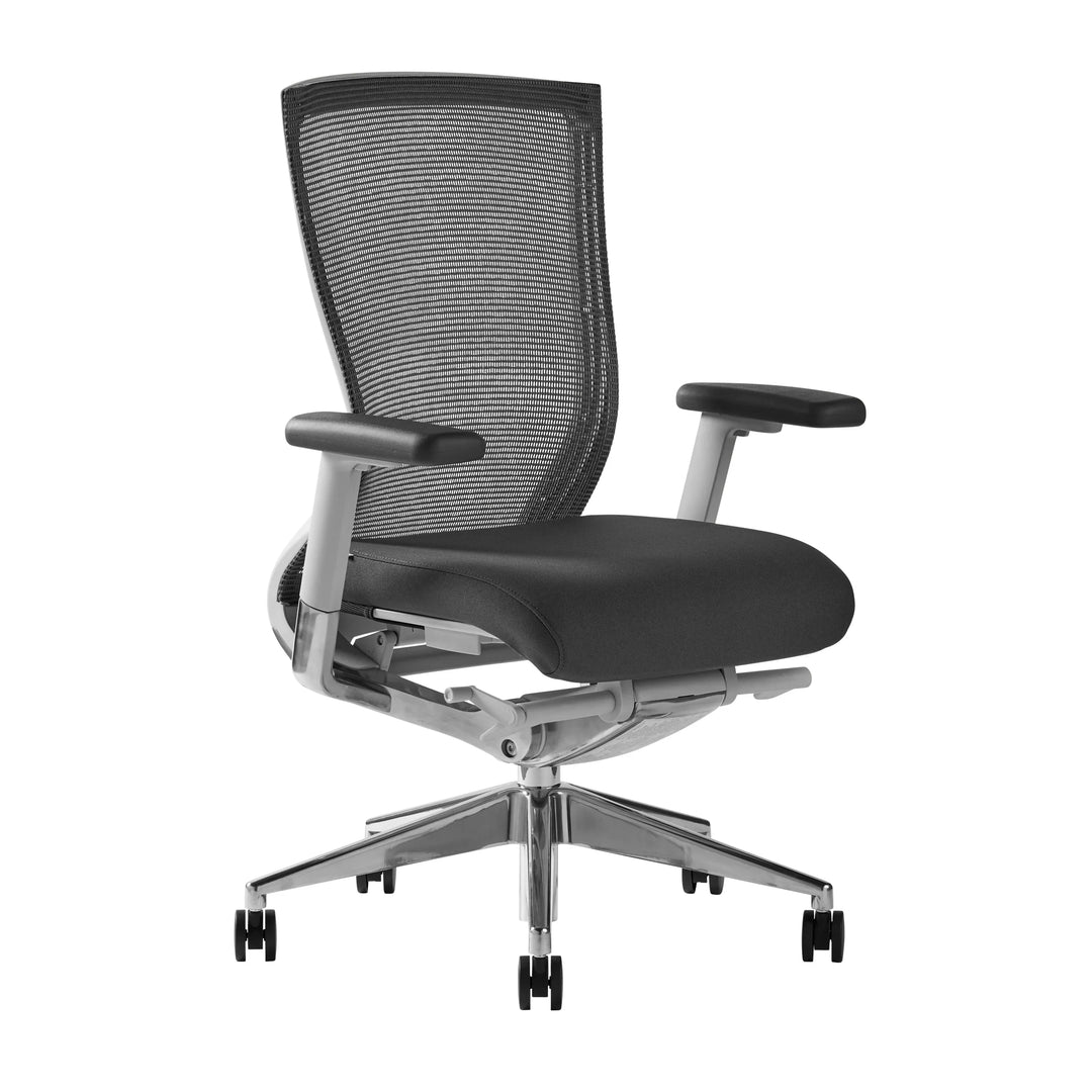 Gray/Polished Aluminum