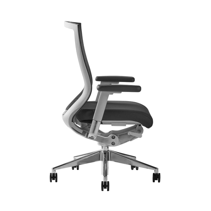 Gray/Polished Aluminum
