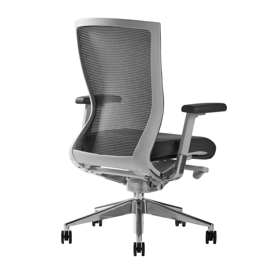 Gray/Polished Aluminum