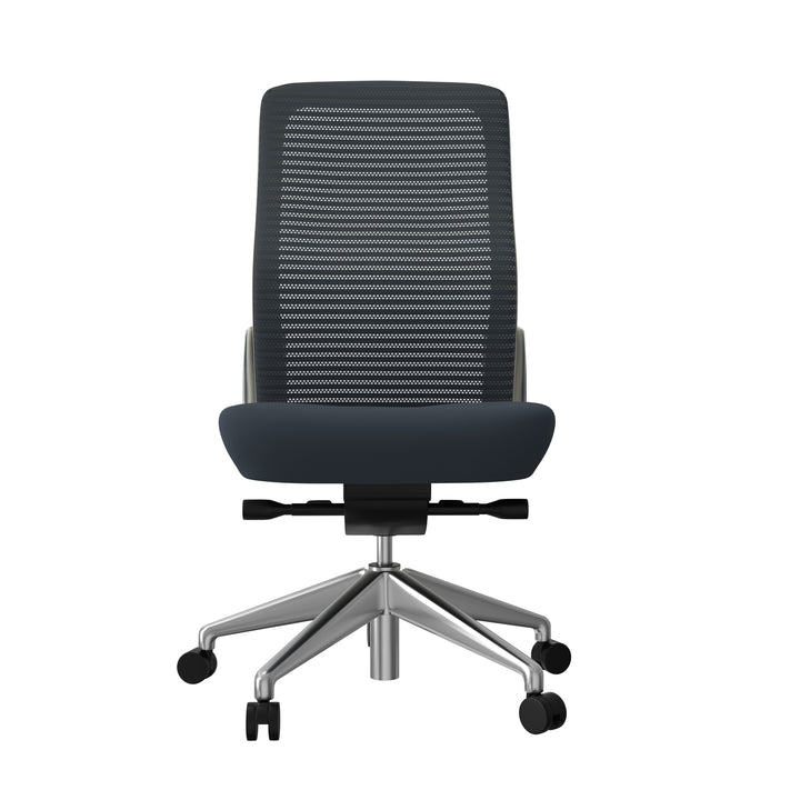 Gray/White/Polished Aluminum