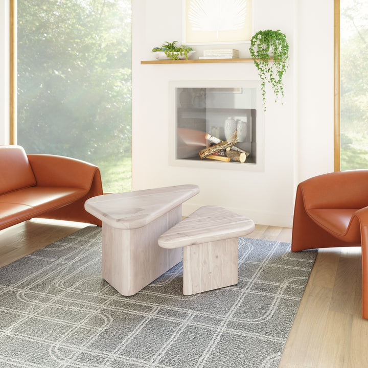 Navidic Coffee Table Set (2-Piece) Whitewashed - 109872