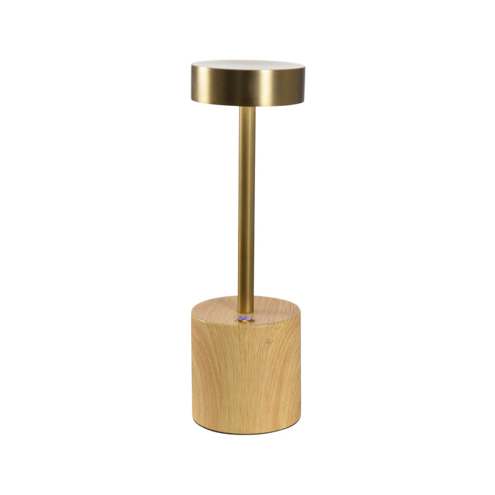 Theodore Rechargeable Lamp - 61423