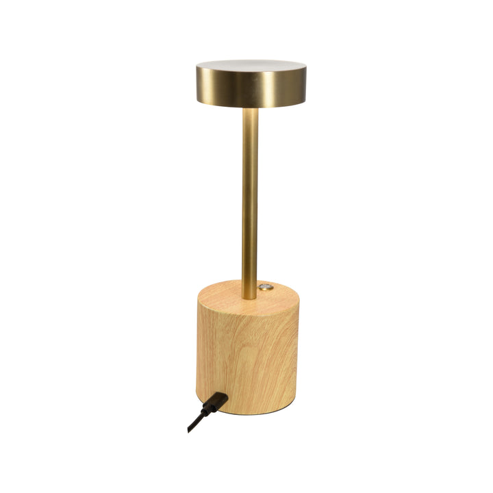 Theodore Rechargeable Lamp - 61423