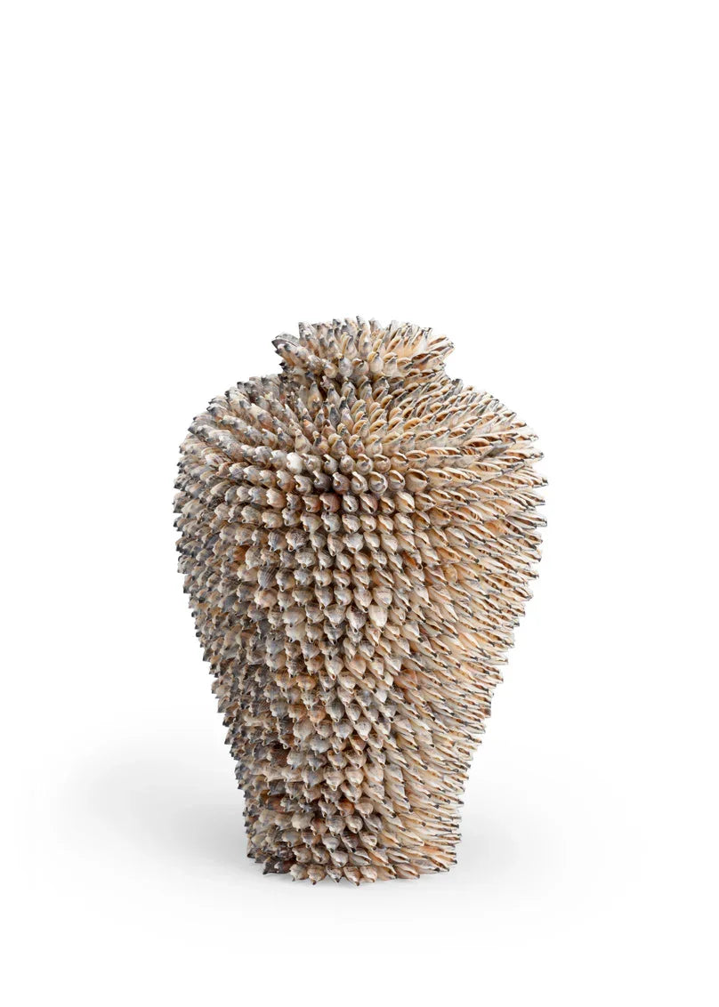 Chelsea House Strombus Shell Sculpture DECORATIVE OBJECTS