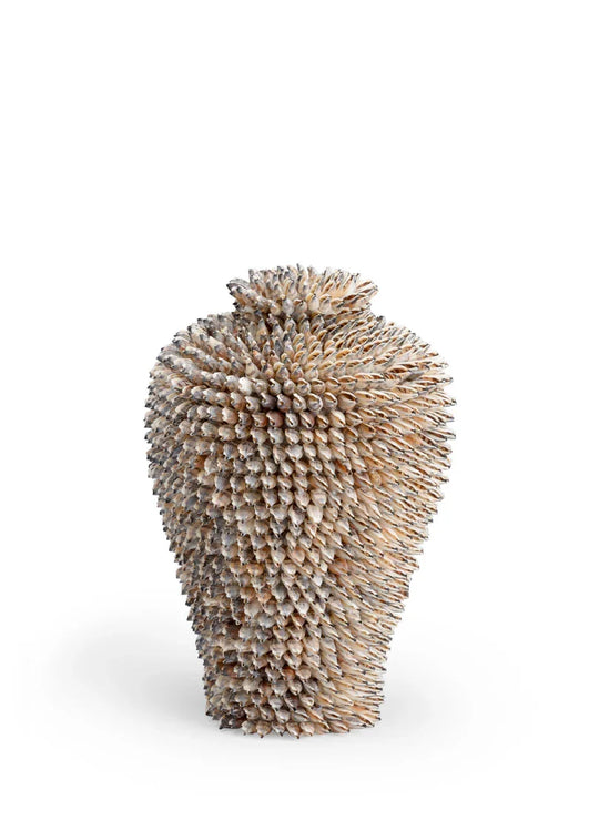Chelsea House Strombus Shell Sculpture DECORATIVE OBJECTS