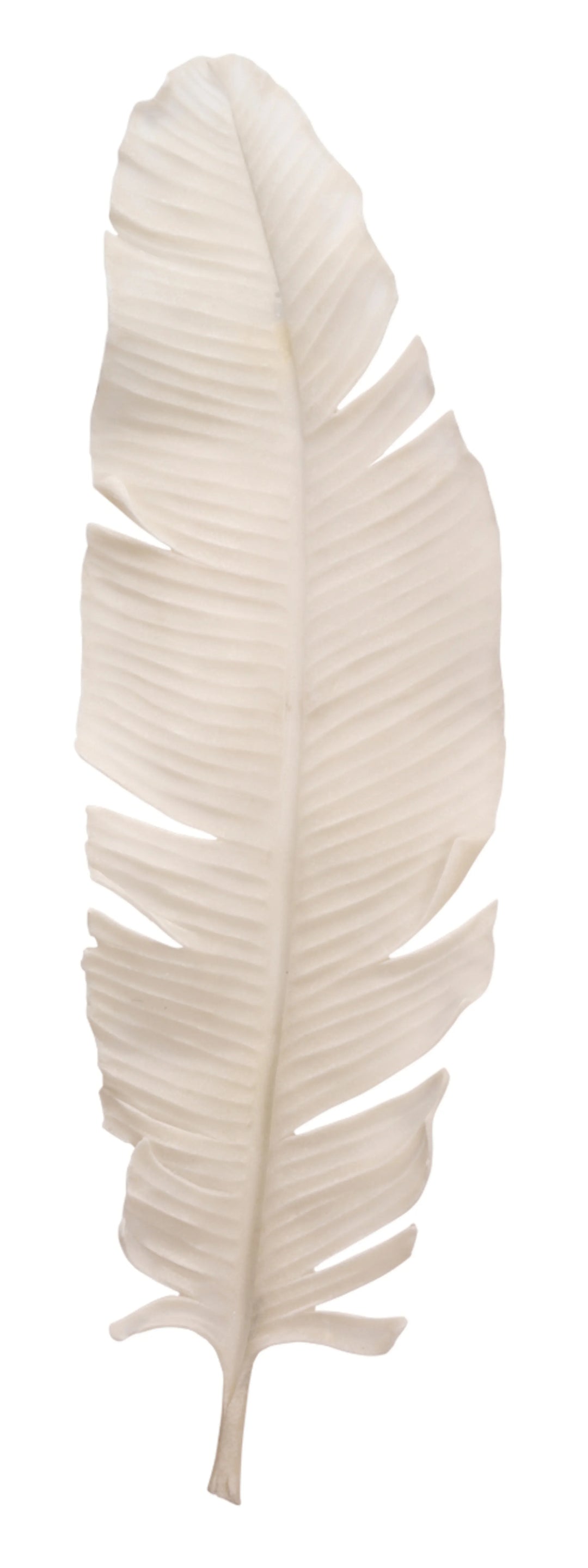 Feather Resin Decorative Object - AmericanHomeFurniture