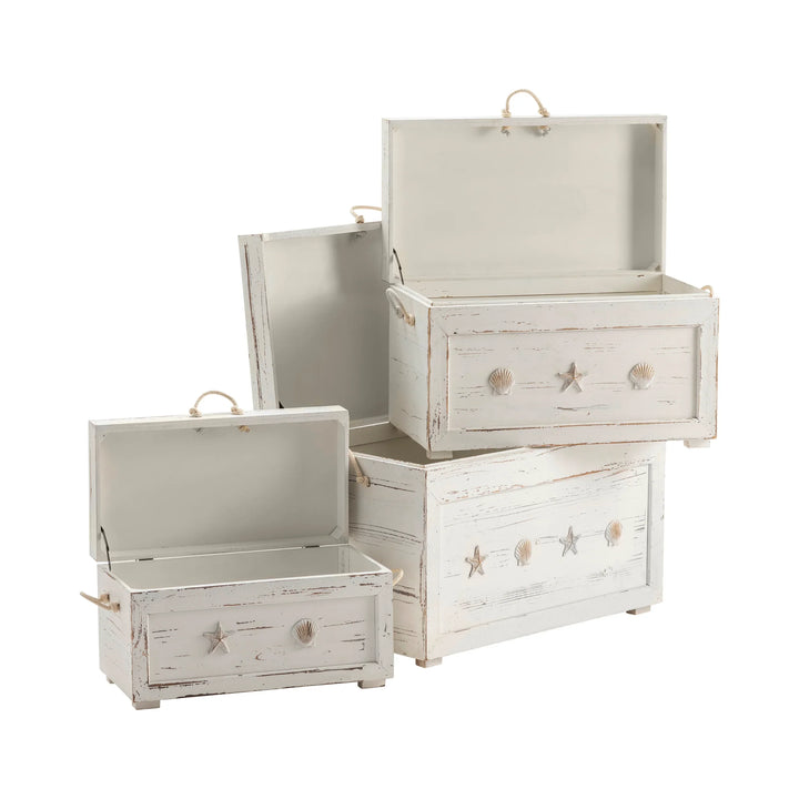 Whitewashed Wood Trunks - AmericanHomeFurniture