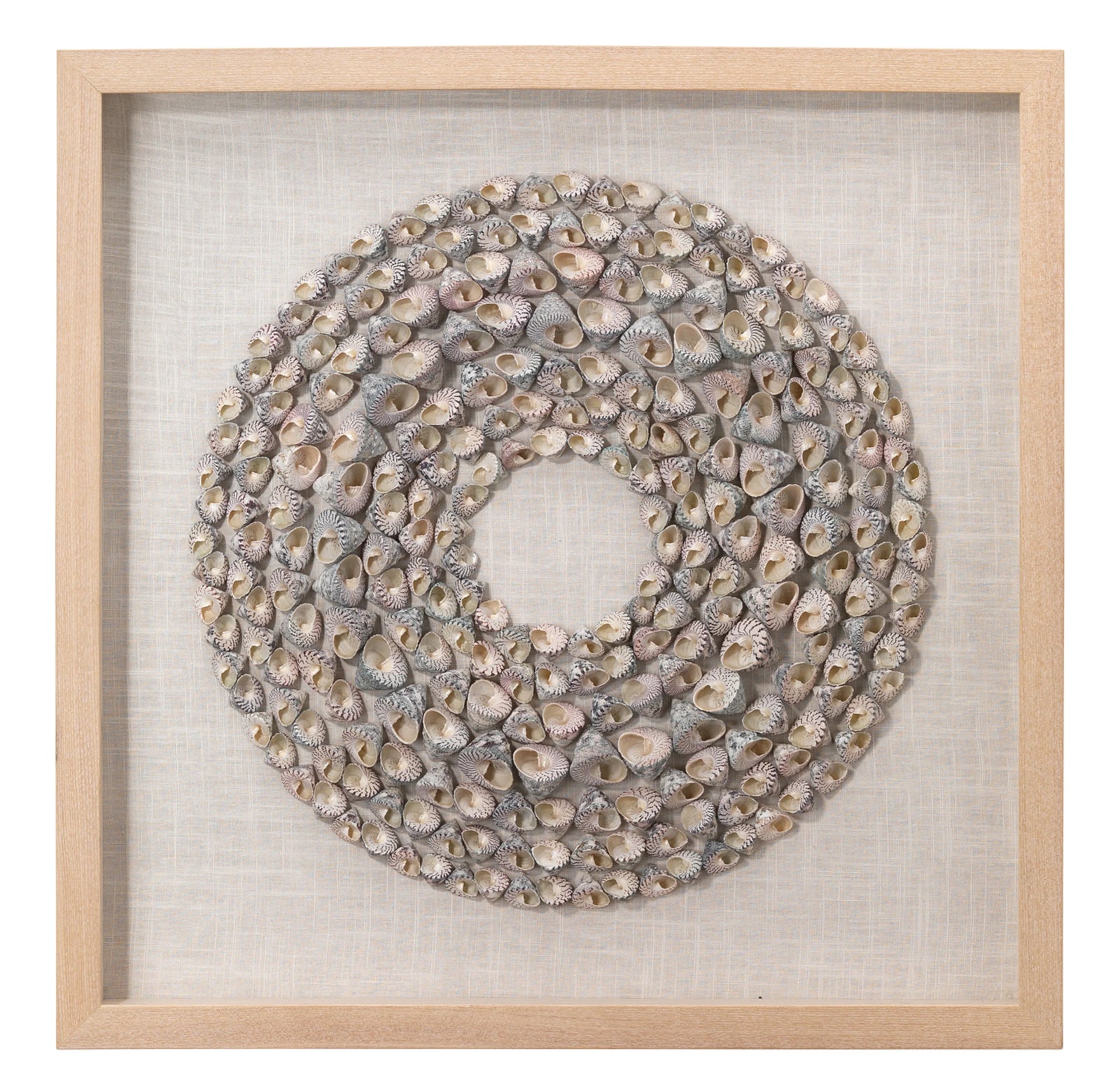 Jamie Young Bora Bora Framed Wall Art, Taupe Snail Shell WALL ACCENTS