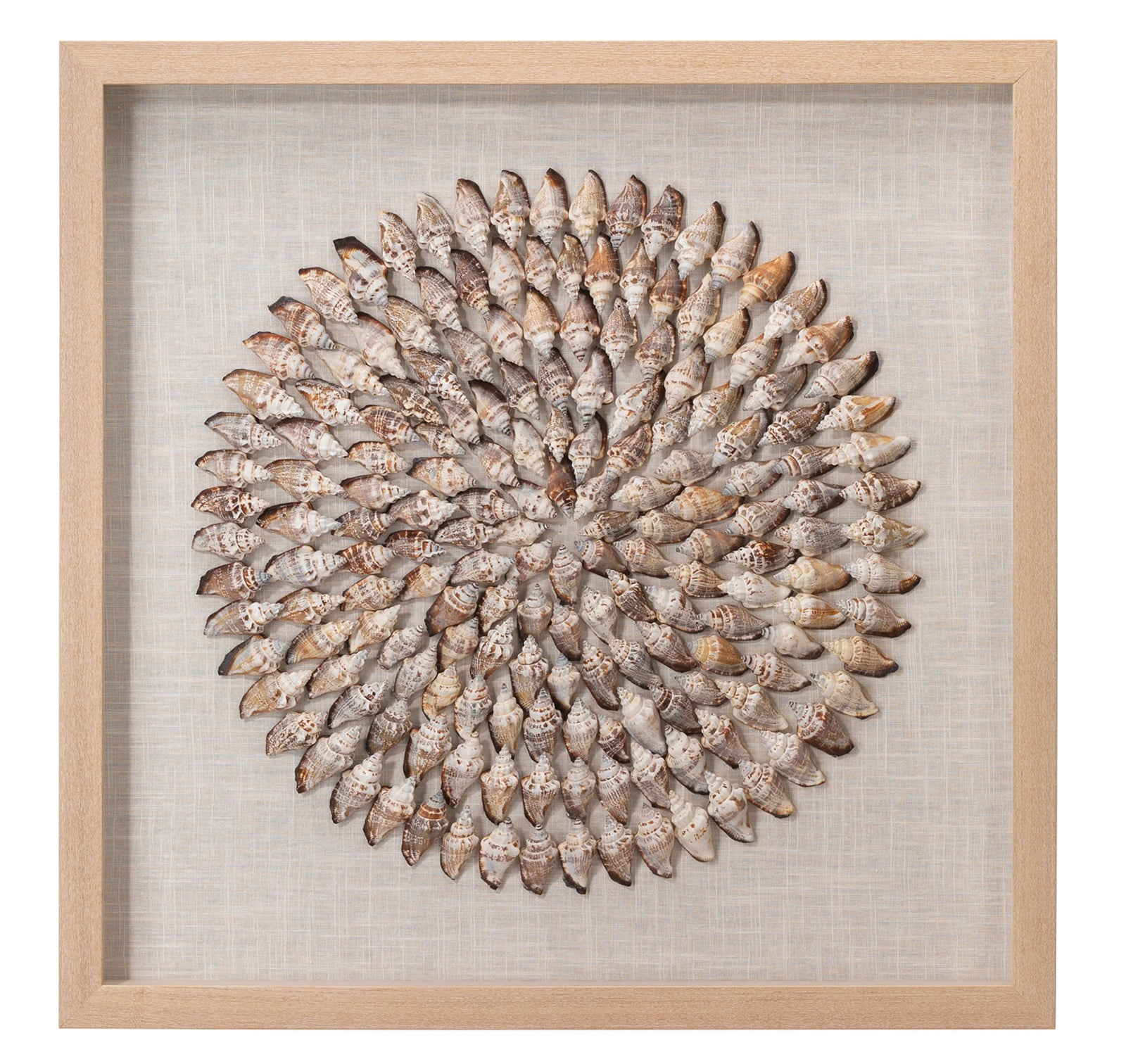 Jamie Young Riviera Framed Wall Art, Beige Simnia Shell WALL ACCENTS