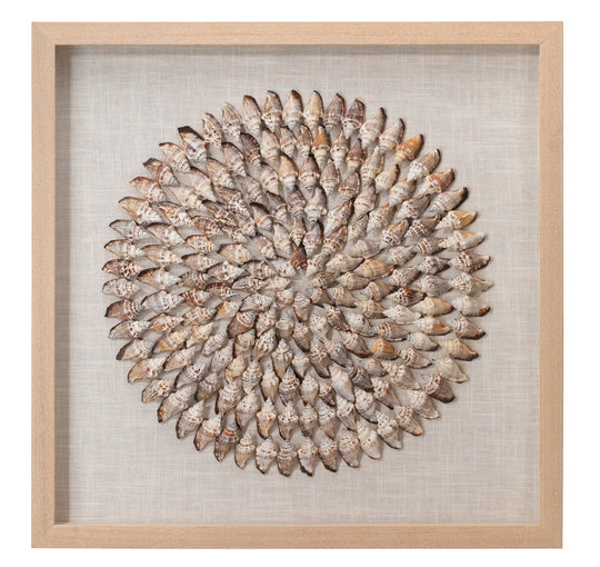 Jamie Young Riviera Framed Wall Art, Beige Simnia Shell WALL ACCENTS