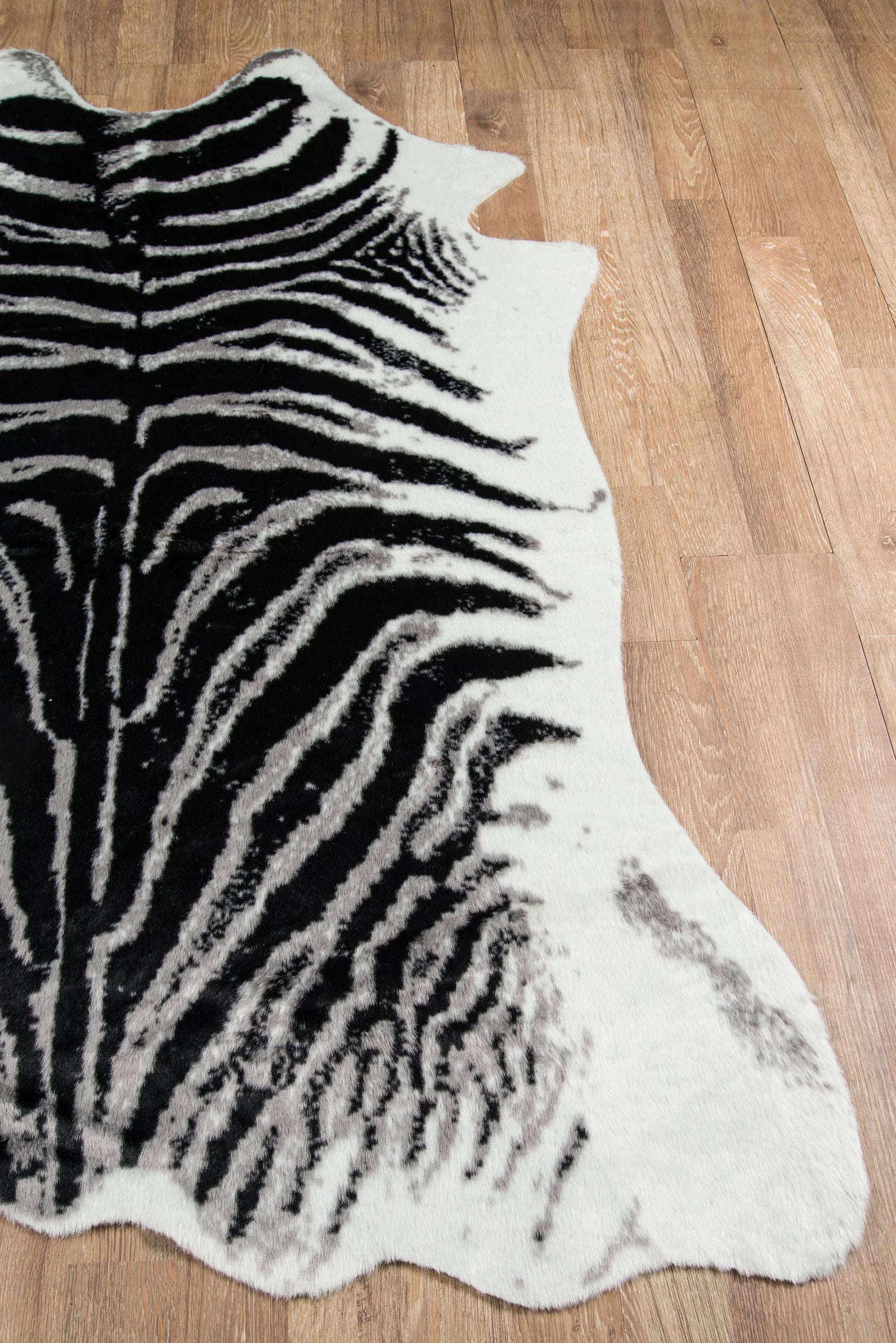 Erin Gates Acadia Zebra Rug RUGS
