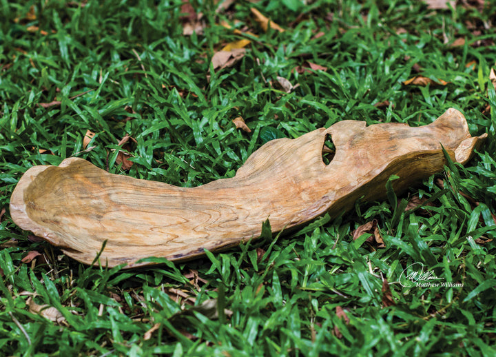 American Home Furniture Uttermost Teak Leaf Bowl