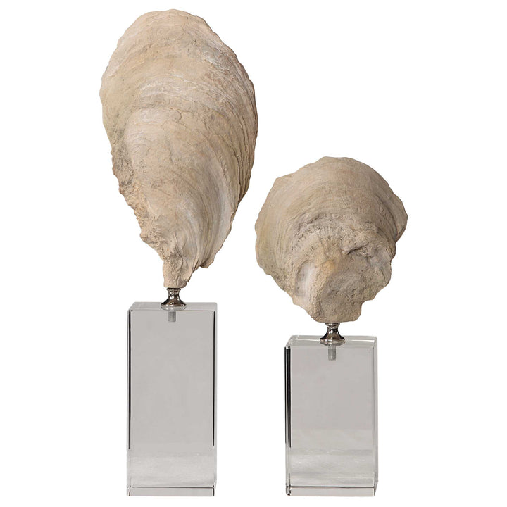 American Home Furniture Uttermost Oyster Shell Sculptures, Set of 2