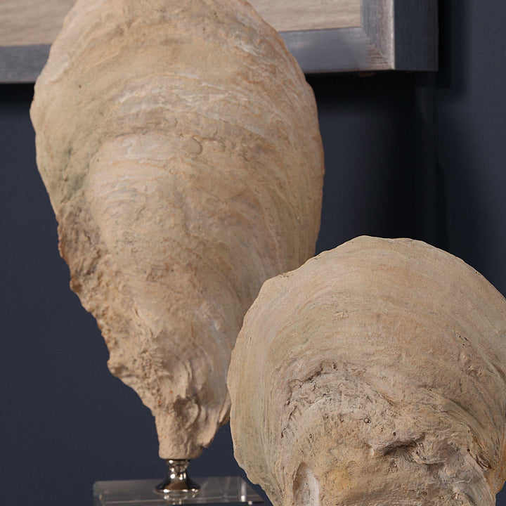 American Home Furniture Uttermost Oyster Shell Sculptures, Set of 2