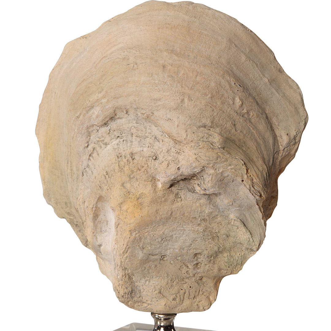 American Home Furniture Uttermost Oyster Shell Sculptures, Set of 2