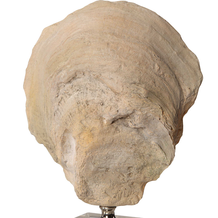 American Home Furniture Uttermost Oyster Shell Sculptures, Set of 2