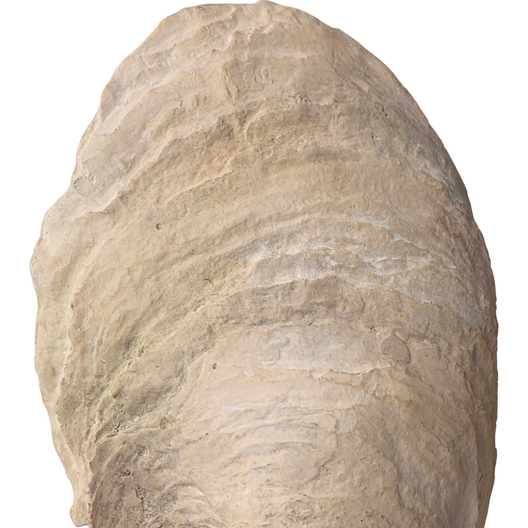 American Home Furniture Uttermost Oyster Shell Sculptures, Set of 2