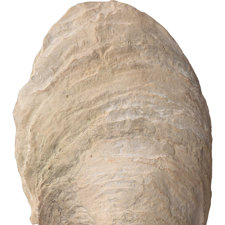 American Home Furniture Uttermost Oyster Shell Sculptures, Set of 2