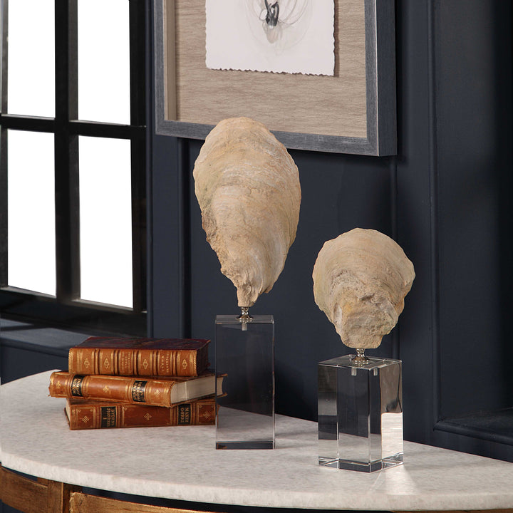American Home Furniture Uttermost Oyster Shell Sculptures, Set of 2