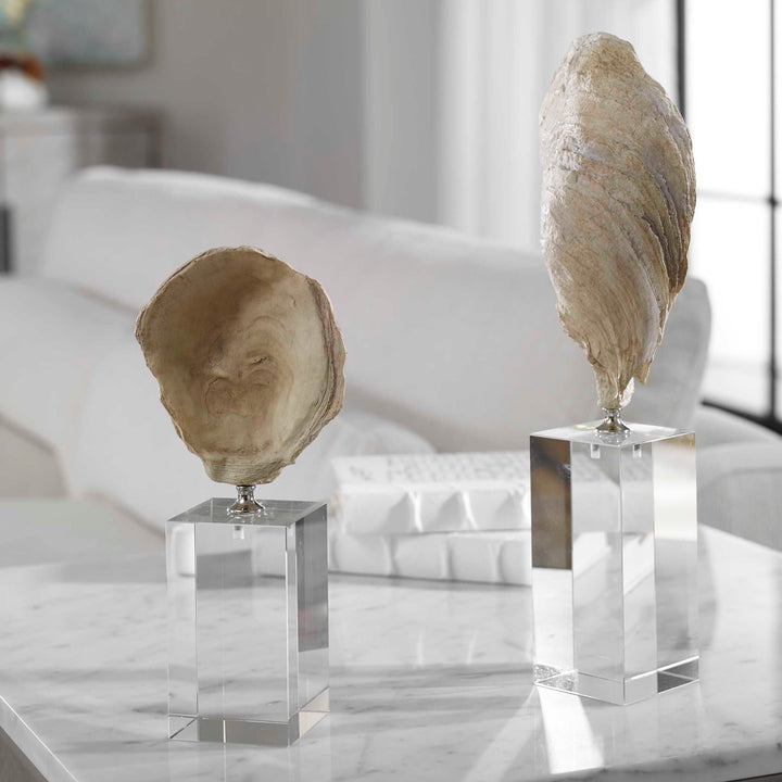 American Home Furniture Uttermost Oyster Shell Sculptures, Set of 2