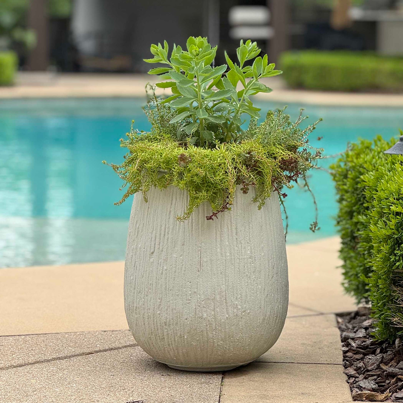 American Home Furniture Uttermost Rustic Ridge OffWhite Outdoor Planter