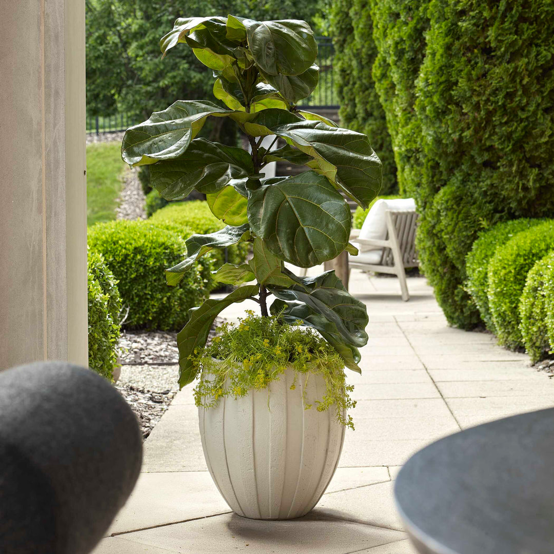 American Home Furniture Uttermost Ridgehaven Textured Outdoor Planter