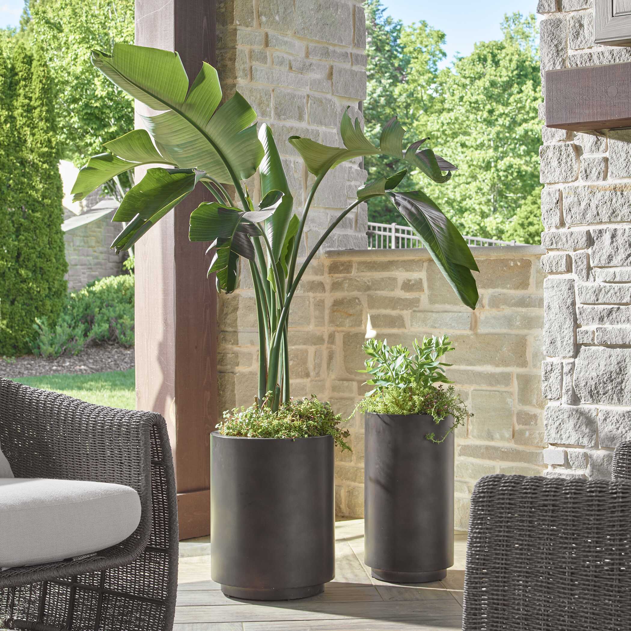 Indoor & Outdoor Planters — Decorative & Statement Pieces | AHF