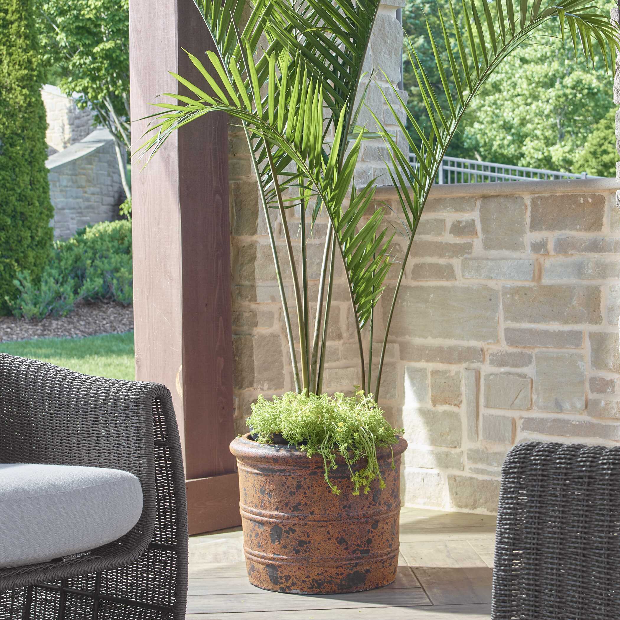 Indoor & Outdoor Planters — Decorative & Statement Pieces | AHF