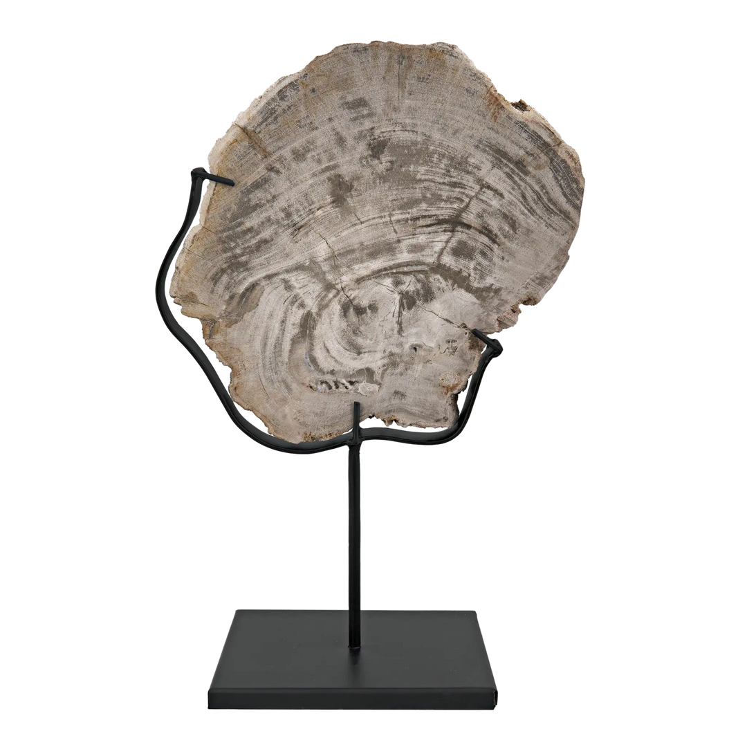 American Home Furniture | Noir - Wood Fossil with Stand, 8"