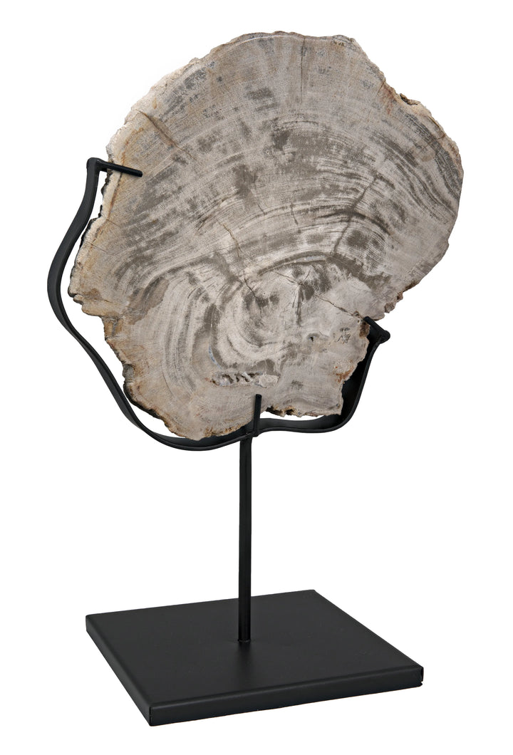 American Home Furniture | Noir - Wood Fossil with Stand, 8"