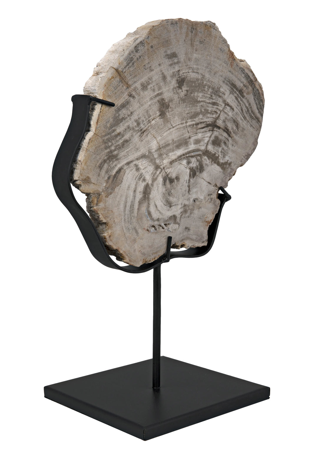 American Home Furniture | Noir - Wood Fossil with Stand, 8"