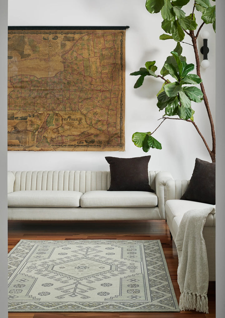 American Home Furniture Momeni Anatolia 11 Rug