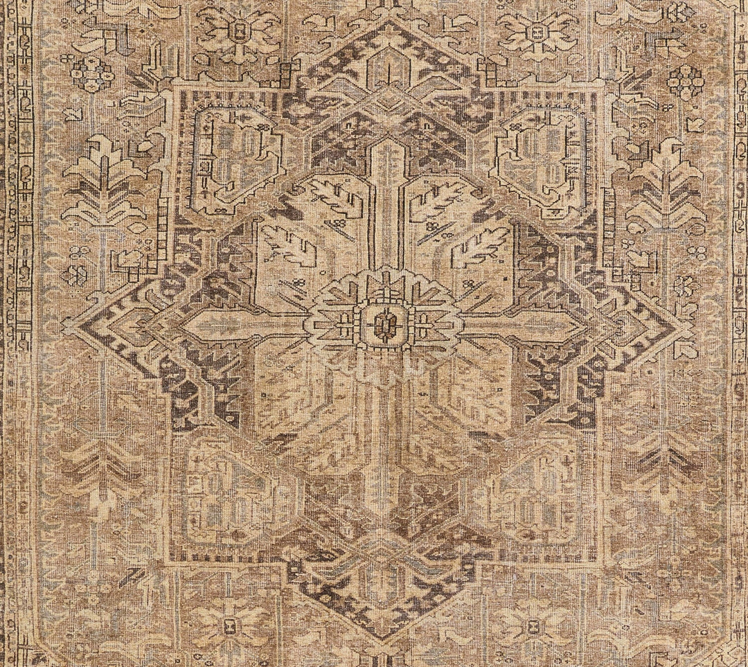 American Home Furniture Momeni Ariana 3 Rug