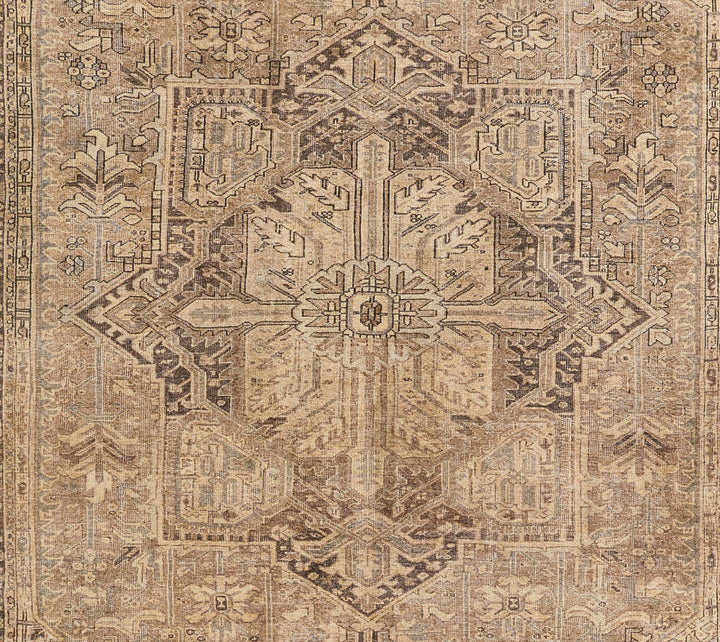 American Home Furniture Momeni Ariana 3 Rug