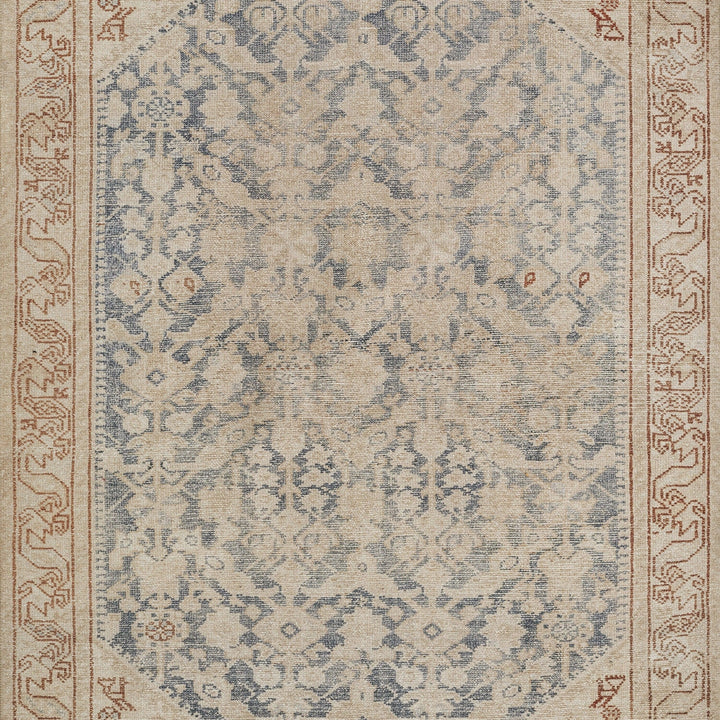 American Home Furniture Momeni Ariana 5 Rug