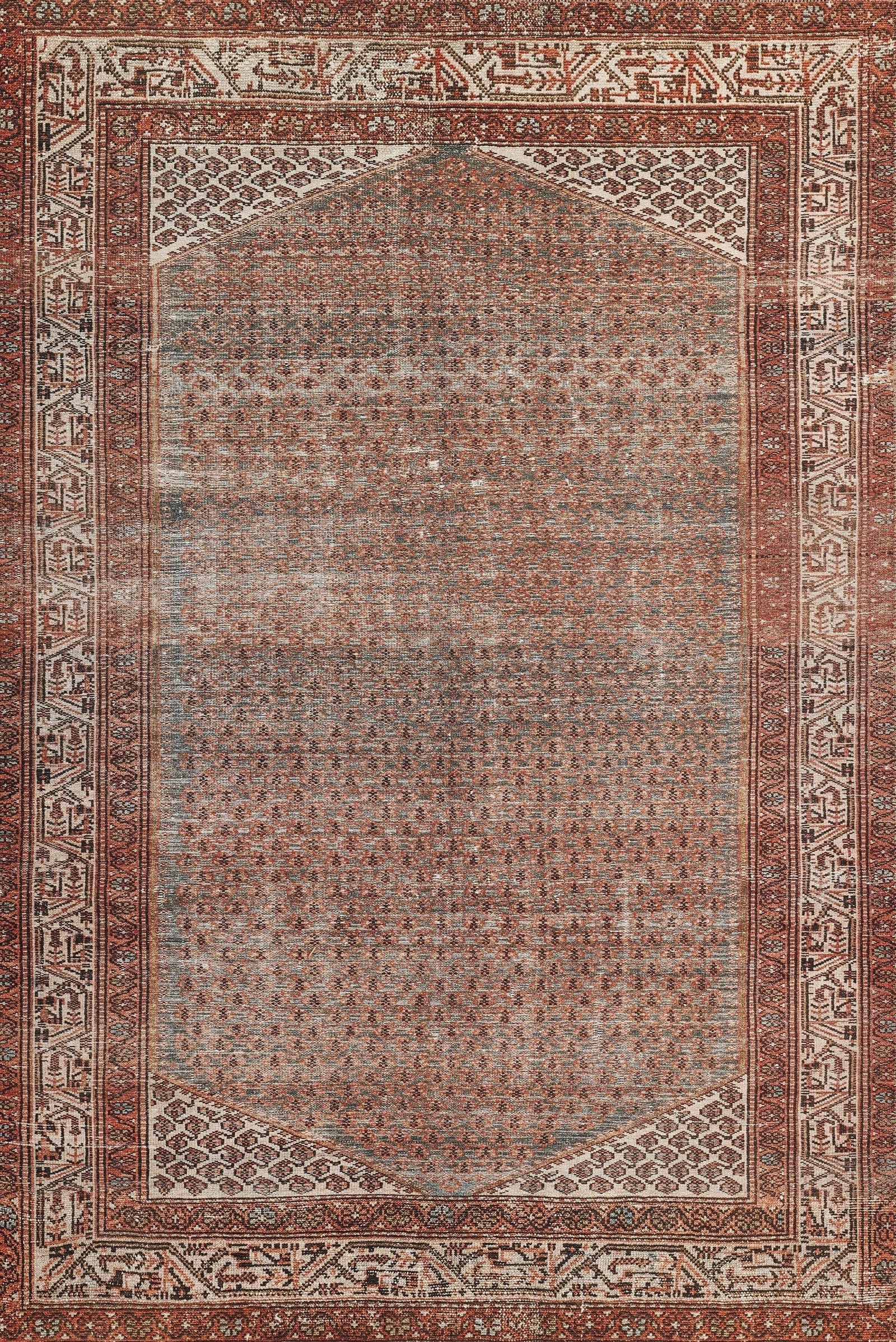 American Home Furniture Momeni Ariana 9 Rug