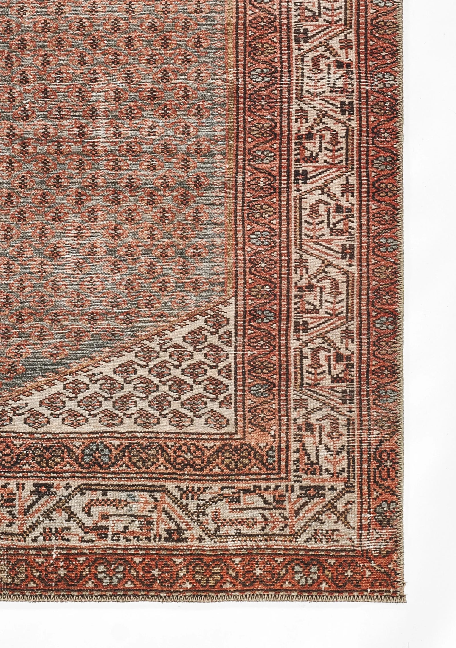 American Home Furniture Momeni Ariana 9 Rug